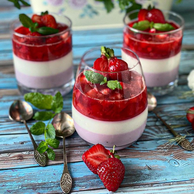 fit panacotta