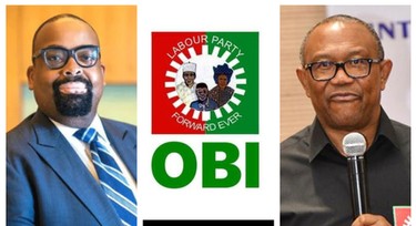 Olumide Akpata recalls his support for youths as Obi dissociates Obidients from LP