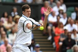Finał Wimbledonu nie dla Hurkacza. Berrettini lepszy od Polaka