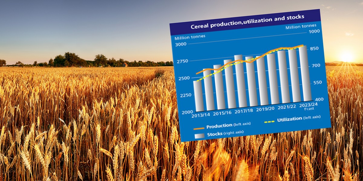 Rekordowe zbiory przewyższą wzrost popytu na zboża. Ceny spadają