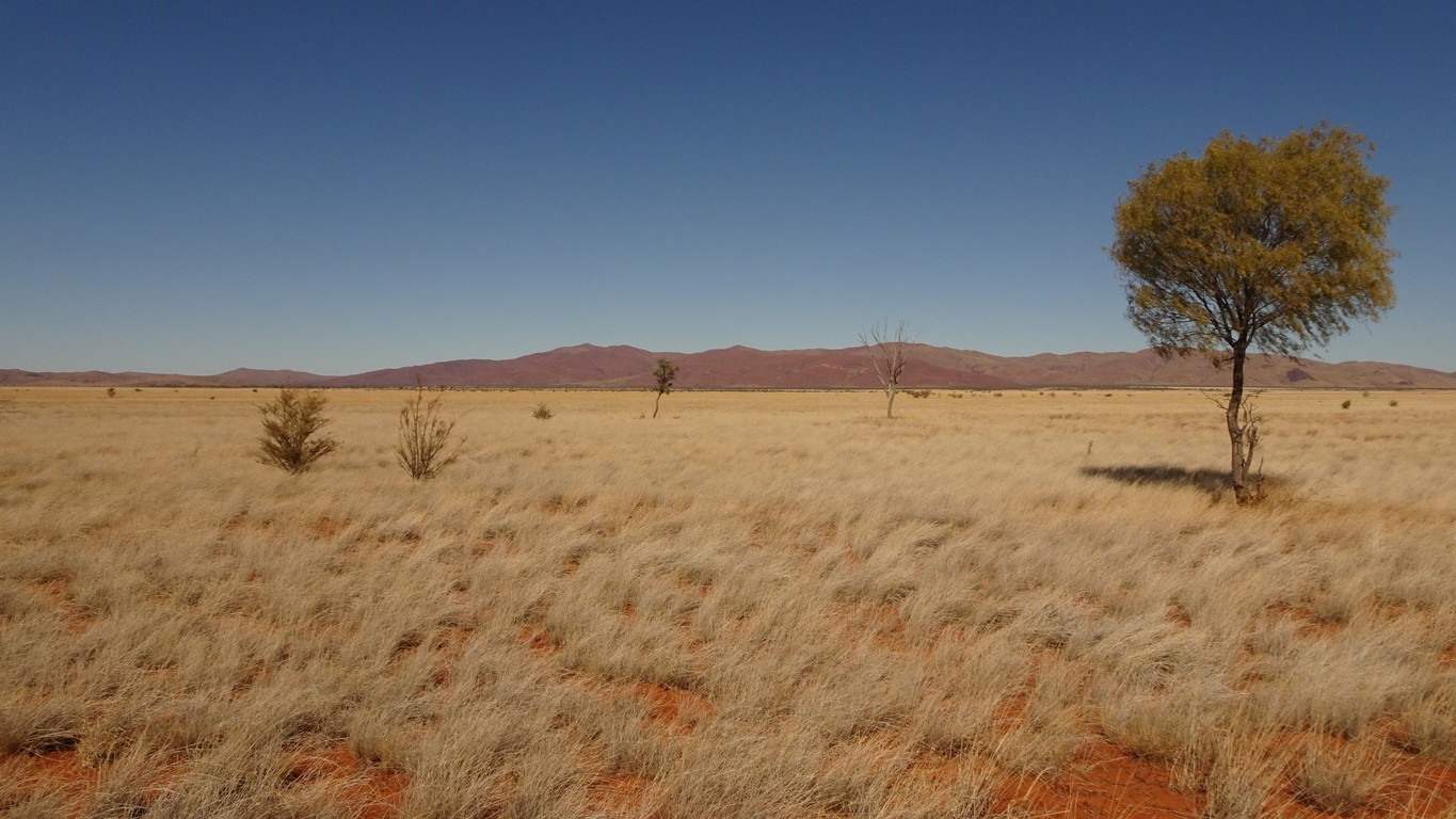 Musel prejsť cez púšť Tanami Desert. (ilustračné foto)