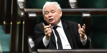 Posłowie KO dogryzali prezesowi PiS. Kamera uchwyciła, co działo się w przerwie obrad