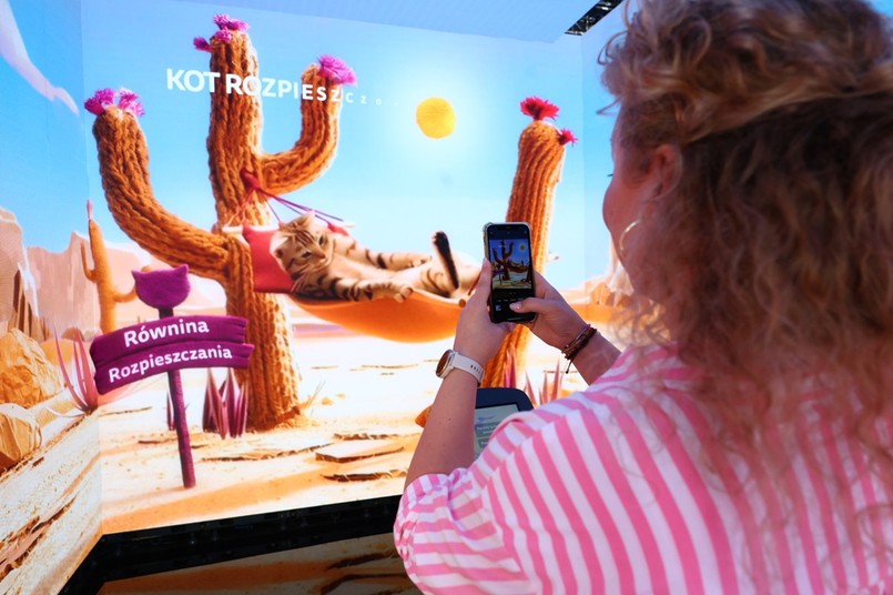 Kiedy kot mówi: „kocham Cię”. Co zdradzają jego gesty, mruczenie i osobowość?