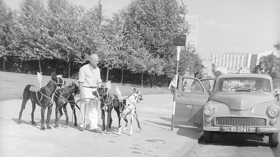 Samochód FSO Warszawa na postóju taksówek przy ul. Chłodnej w Warszawie w 1967 r.