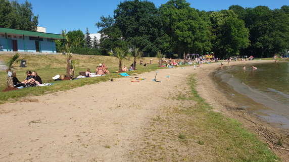 Palmy na miejskiej plaży w Choszcznie