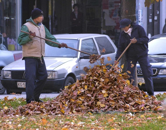 Pojedinci uveliko skupljaju lišće