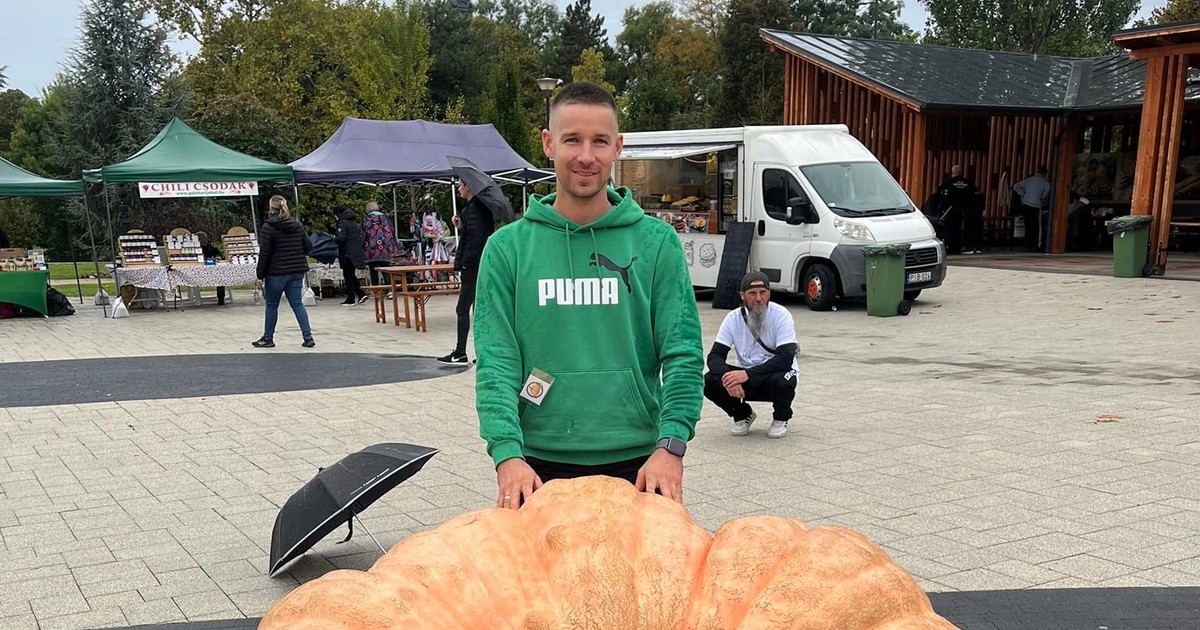 519 kilósra nőtt az ország legnagyobb töke, ami a Superman nevet kapta