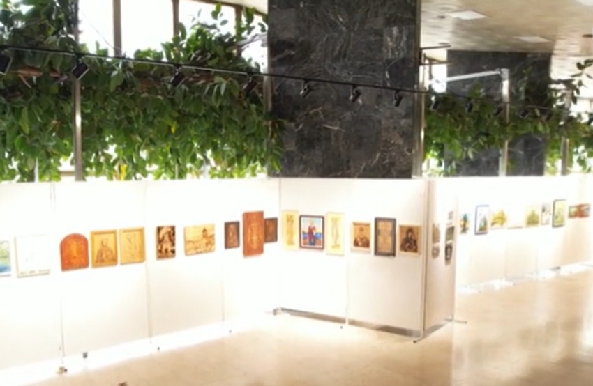 Najveći fikus na Balkanu raste u Čačku