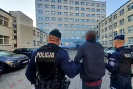 Kierowca z Niemiec zignorował kontrolę i próbował potrącić policjanta