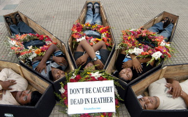 INDIA-PROTEST-PETA-COFFIN