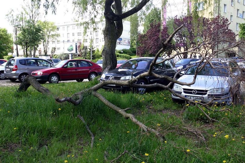 Upiększa miasto tylko dla vip-ów