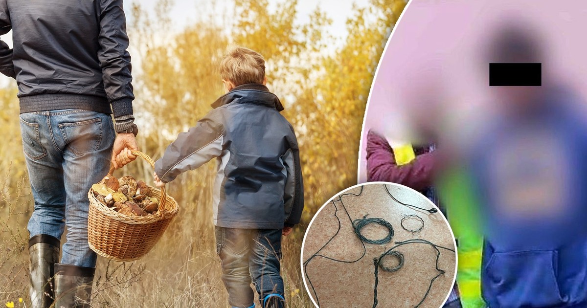 Wstrząsające odkrycie grzybiarzy pod Puławami. Podejrzany o makabrę w rękach policji