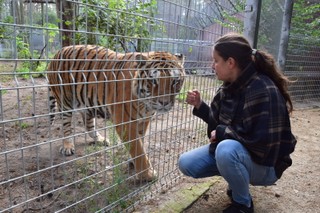 Polowanie ze sztucerem na krokodyla? Tylko – o zgrozo – w azylu [WYWIAD]