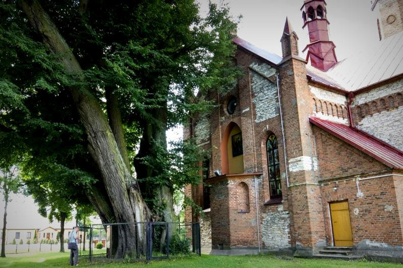 Cudowna lipa w Cielętnikach k. Częstochowy