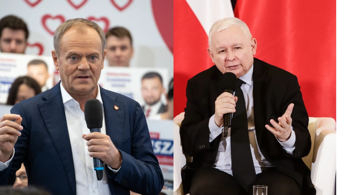 Nowy sondaż. KO przed PiS, Konfederacja rośnie w siłę