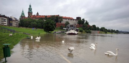 Zalania, podtopienia. Grozi nam powódź