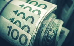Polacy się bogacą. Ponad milion zamożnych, idziemy na rekord [NOWE DANE]