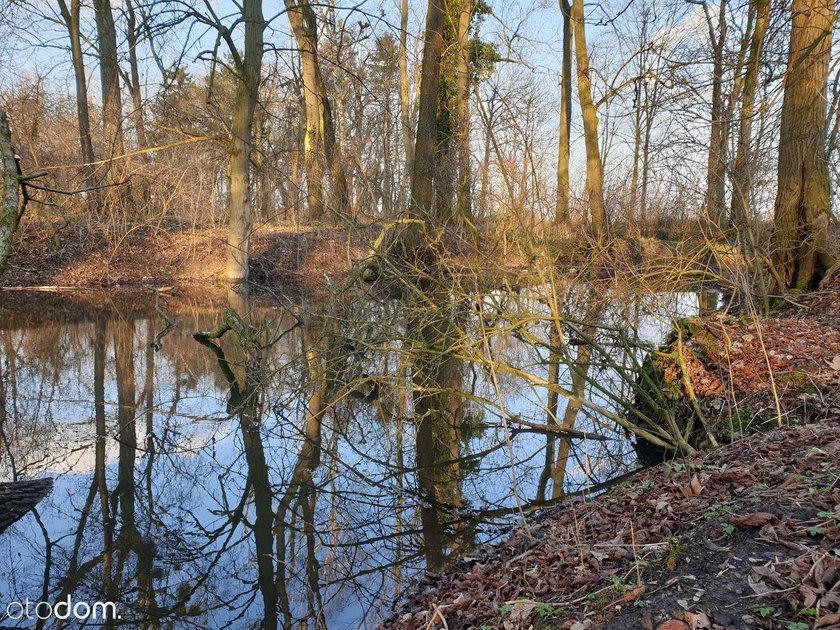 Park powstał w XVIII wieku