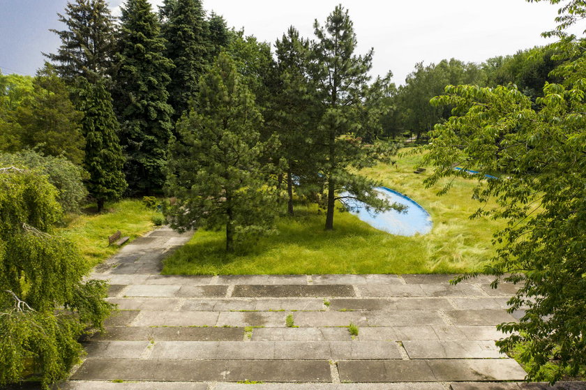 W Parku Śląskim rusza remont Ogrodu Japońskiego