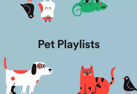 Nowa opcja Spotify ma umilić zwierzakom oczekiwanie na właścicieli