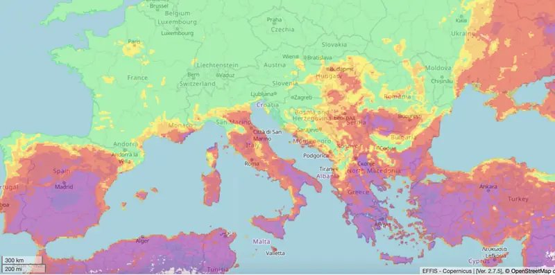 Mapa zagrożenia pożarowego. Kolor fioletowy oznacza ekstremalny poziom