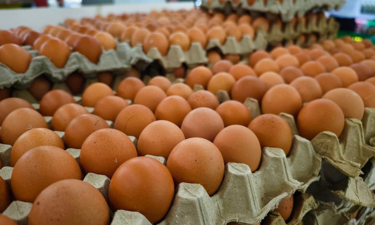 Sklepy wycofują popularne jajka. Zmieni się los milionów kur