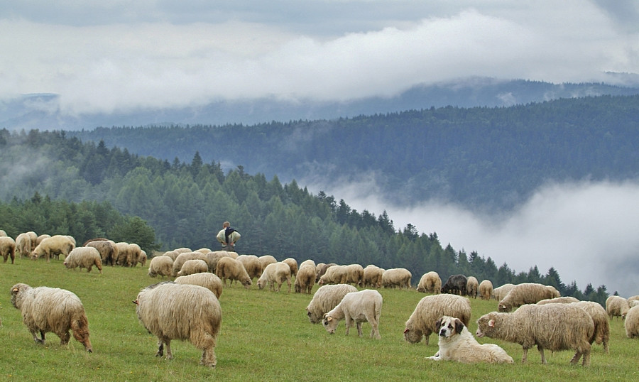 Beskid Niski - góry bez turystów