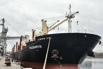 Gigantyczna kolejka statków w Ukrainie. Problem ze zbożem