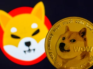 Meme coin o nazwie dogecoin stworzony w 2013 r. jako żart. Jego „twarzą” jest pies rasy shiba, znany właśnie z memów. 25 czerwca br. Elon Musk napisał na Twitterze: „My Shiba Inu will be named Floki”. Żadne organy regulacyjne nie będą raczej w stanie udowodnić mu, że w ten sposób sugerował ludziom z branży krypto, aby zainwestowali w token o nazwie Floki Inu