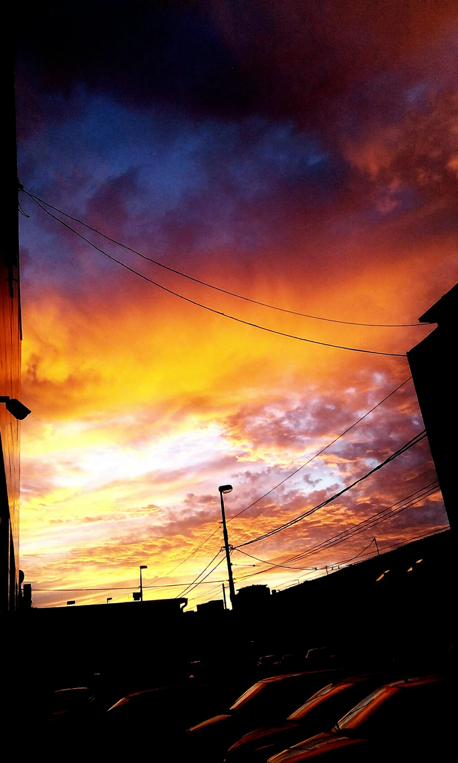 Foto: Zoran Lončarević