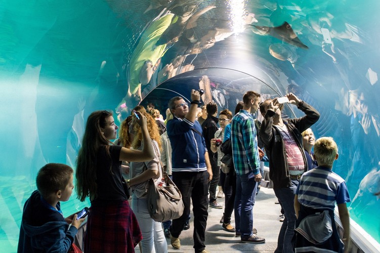 Wrocławskie Afrykarium