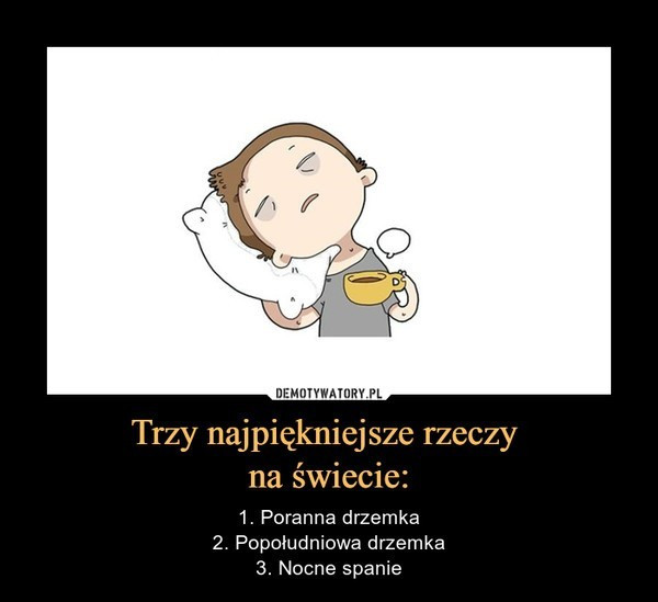 Światowy Dzień Drzemki w Pracy. Zobacz najlepsze memy