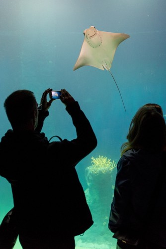 Wrocławskie Afrykarium