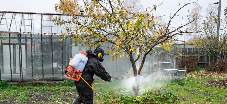 Wykonaj jesienny oprysk drzew, by nie stracić owoców w 2026 roku