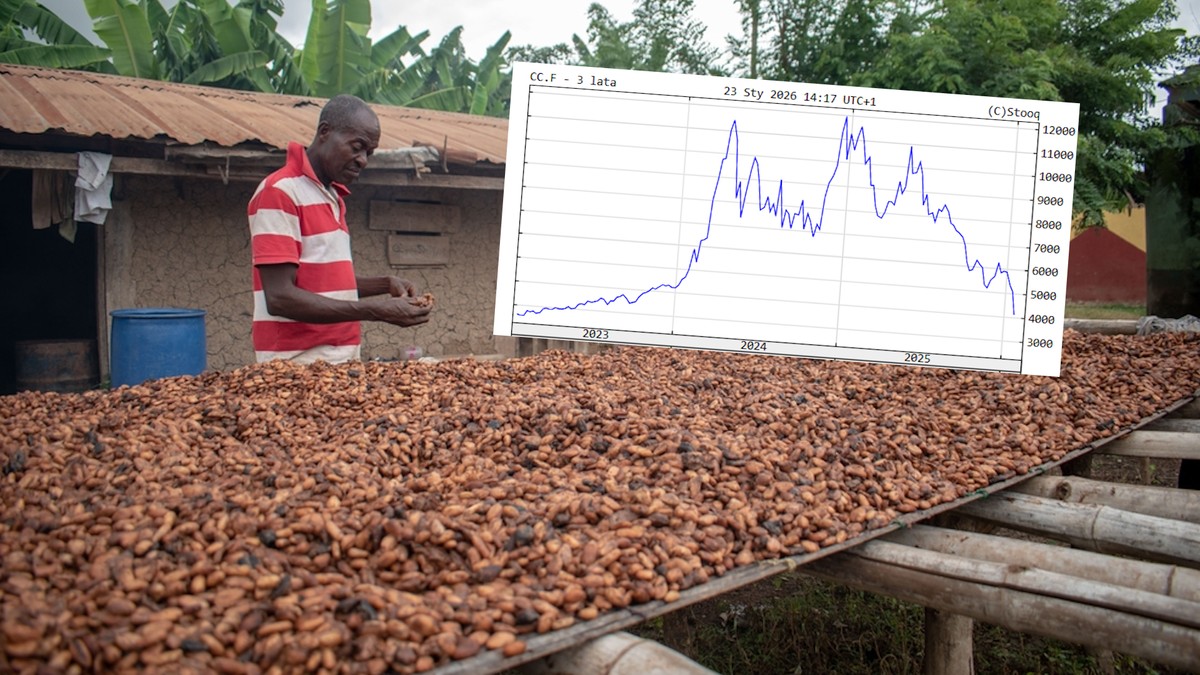 Koniec z czekoladową drożyzną? Mocne spadki cen kakao na światowych giełdach