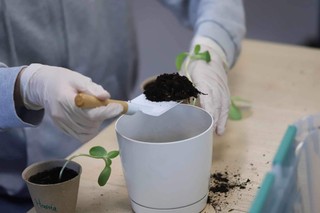 Mazurski trójkąt sukcesu, czyli GOZ nie musi kosztować więcej