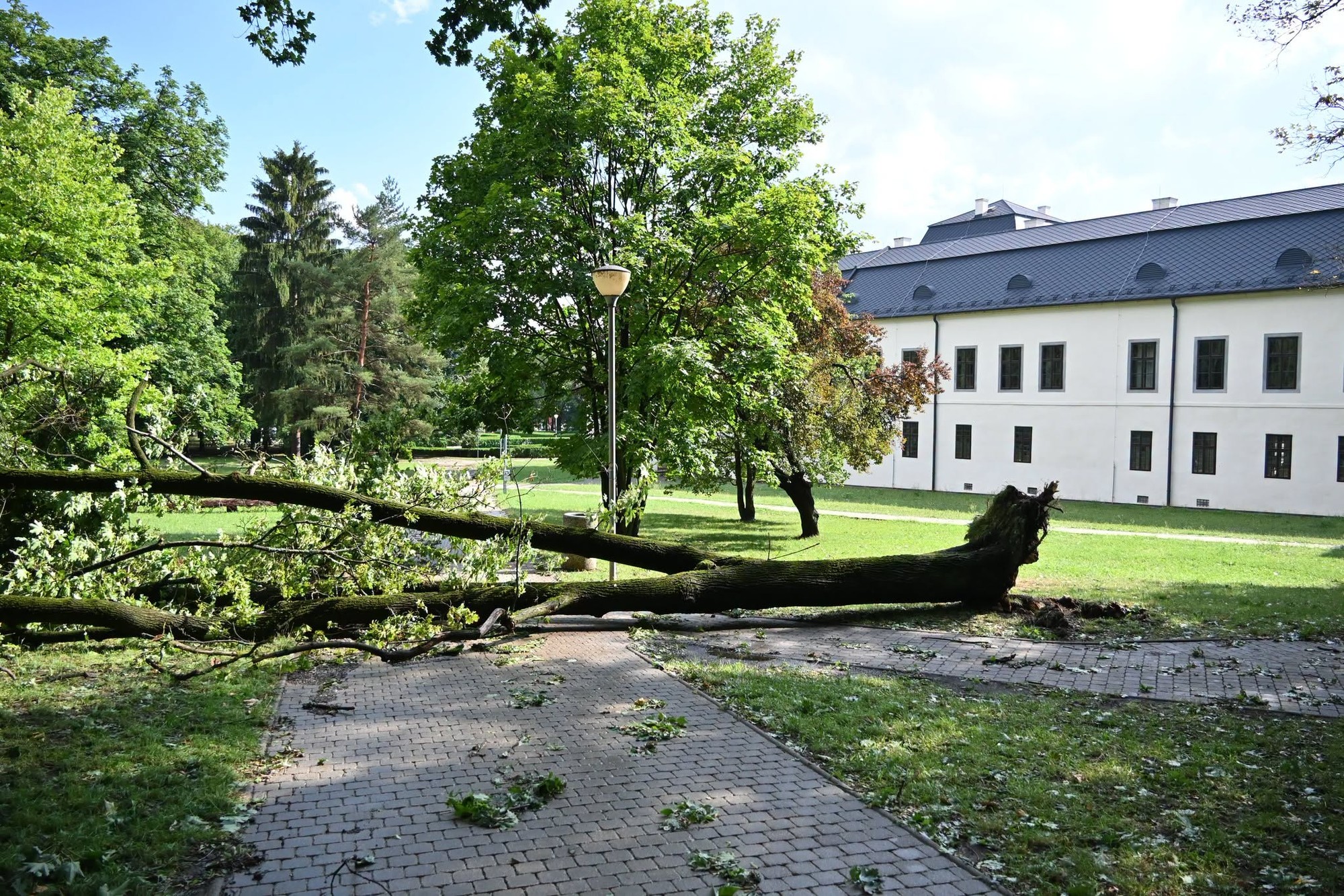 Humenné zasiahla silná búrka s krupobitím, vyvracala stromy a zaplavila ulice.