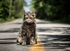 Czasami martwe jest lepsze. Nowa ekranizacja 'Smętarza dla zwierzaków' Kinga [RECENZJA]