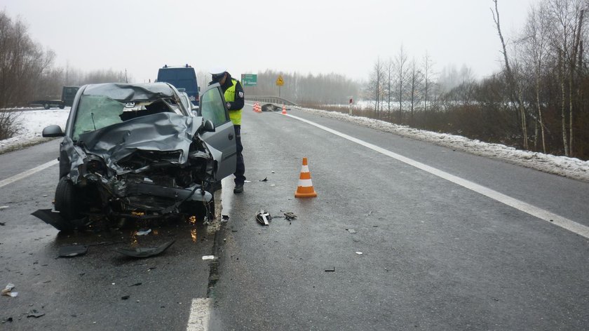 Auto wjechało w łosia