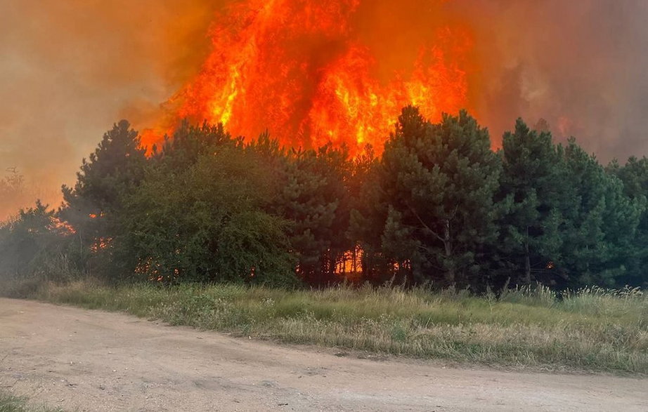 Pożar w wyniku ostrzału w obwodzie mikołajowskim w Ukrainie w sierpniu 2022 r