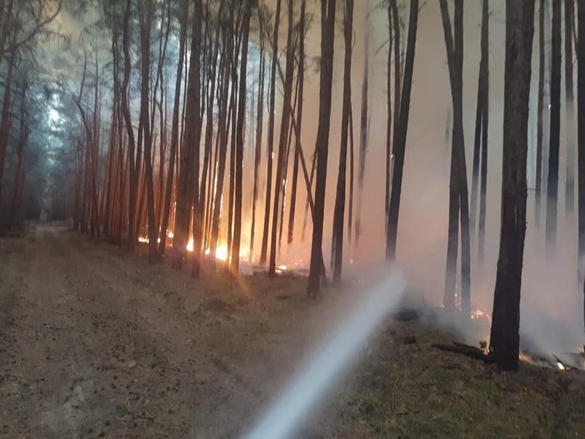 A forest fire is seen in Treuenbrietzen