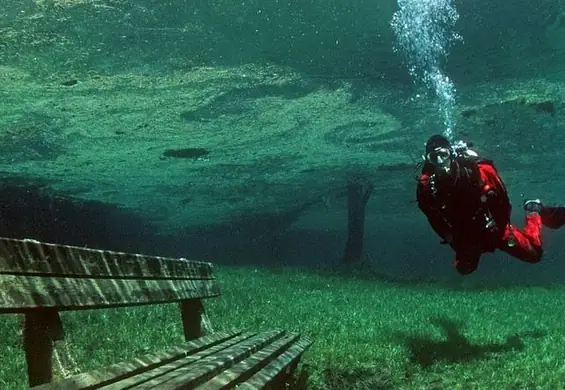 Zimą park, latem jezioro. Zobacz Gruner See, niesamowite austriackie zjawisko