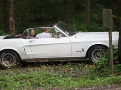 Palikot wozi Herbuś zabytkowym mustangiem