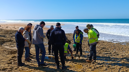 niezwykłe znalezisko na plaży w portugali. szczątki sprzed 10 mln lat