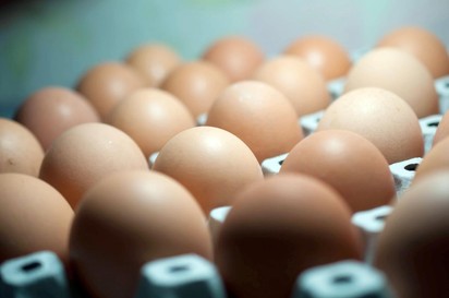 A tojást főzés előtt áztatni, mosni vagy törölni érdemes? Az orvos válaszol