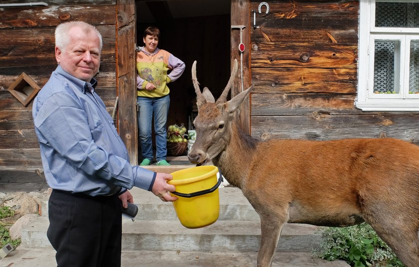 Jelonek jak piesek!