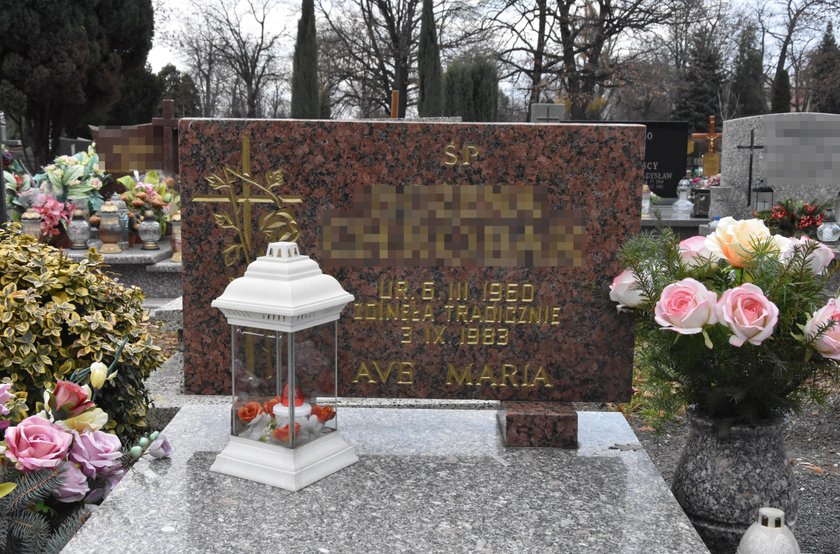 wampir-z-rokitek-gwa-ci-i-mordowa-s-siadki-henryk-czy-ewski-kara