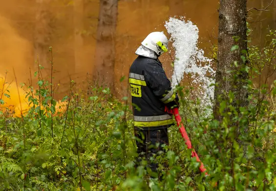 Potężny antycyklon nad Polską. Zmiany klimatu mogą to wzmacniać