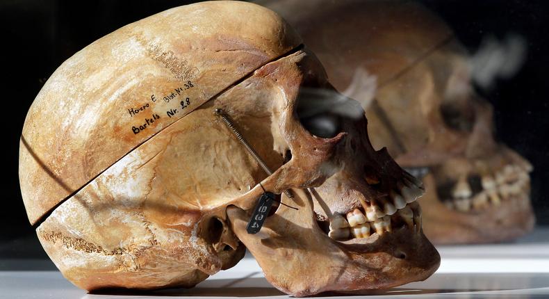 DNA of skulls pillaged by Germans have been linked to living relatives in Tanzania