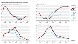 NBP: Spowolnienie uderzy w zatrudnienie, ale nie w płace